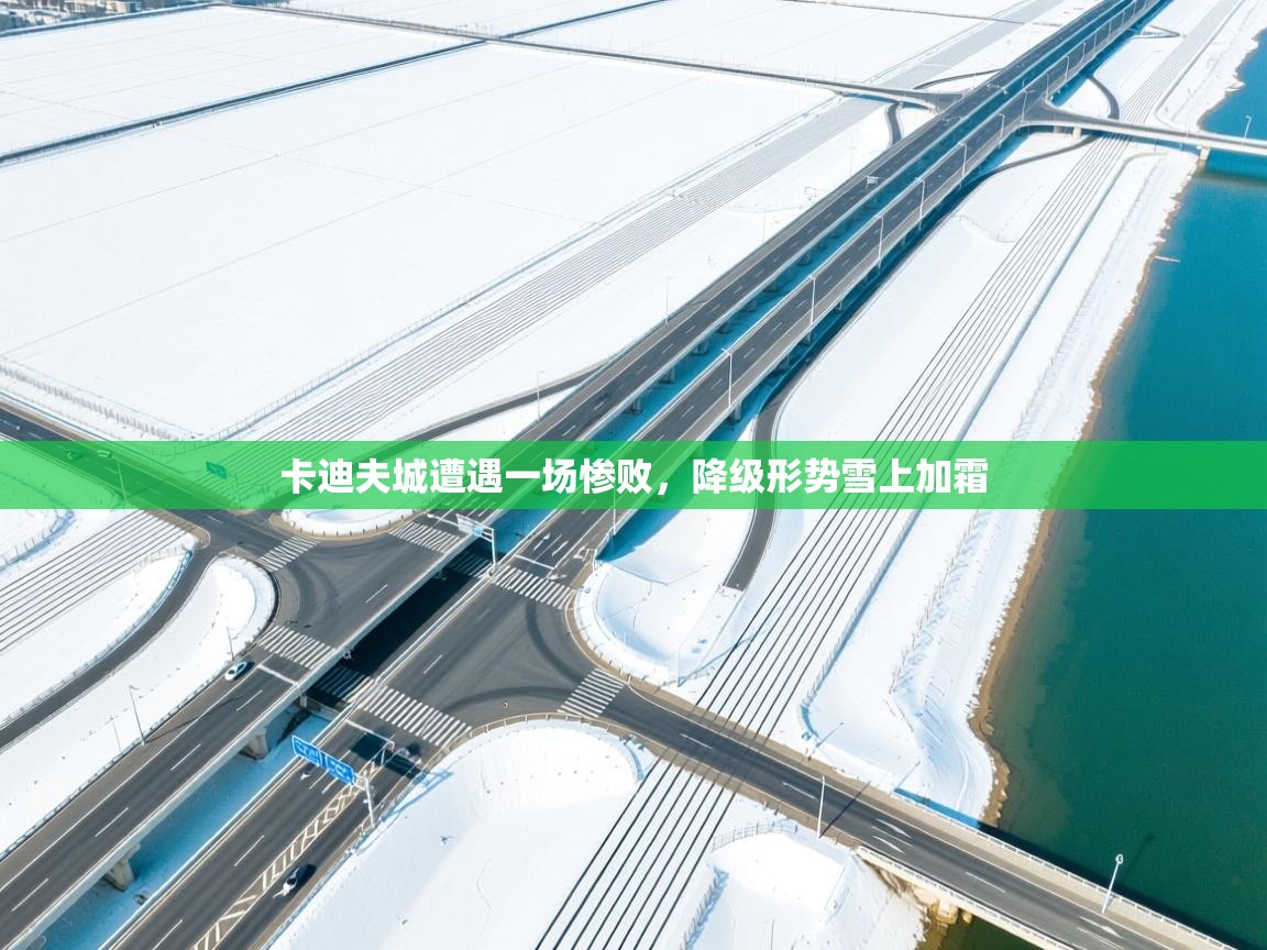 卡迪夫城遭遇一场惨败,降级形势雪上加霜 第1张