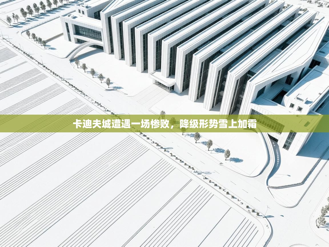 卡迪夫城遭遇一场惨败,降级形势雪上加霜 第2张