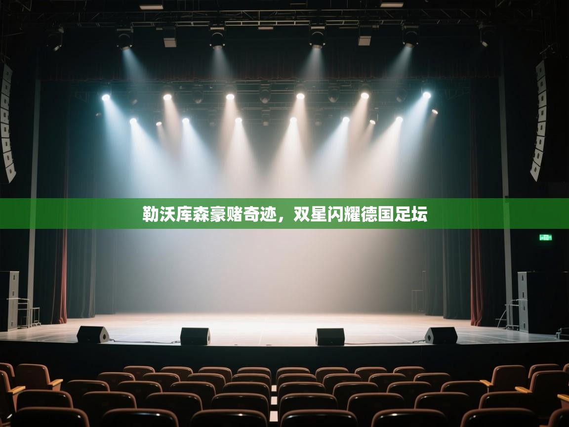 勒沃库森豪赌奇迹，双星闪耀德国足坛  第2张