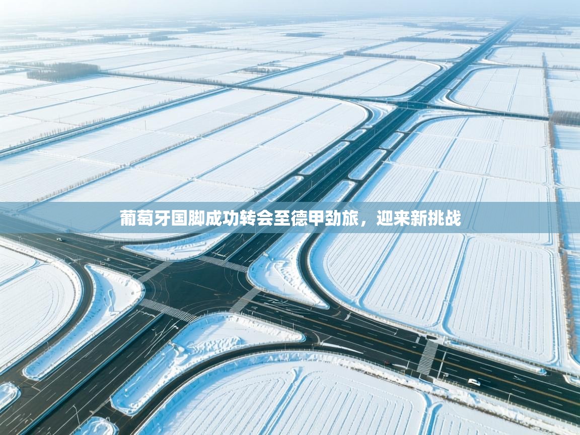 葡萄牙国脚成功转会至德甲劲旅，迎来新挑战  第1张