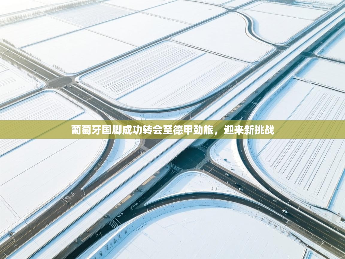 葡萄牙国脚成功转会至德甲劲旅，迎来新挑战  第2张