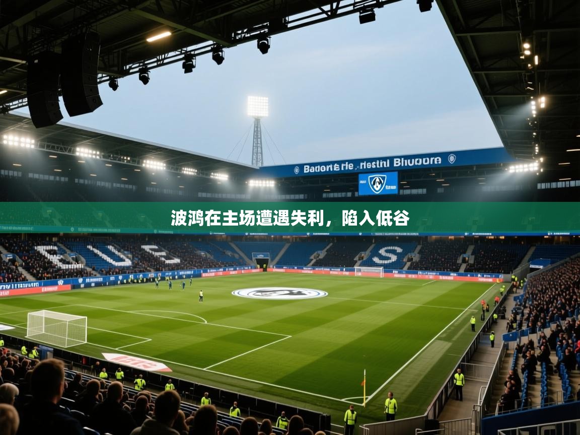波鸿在主场遭遇失利,陷入低谷 第2张