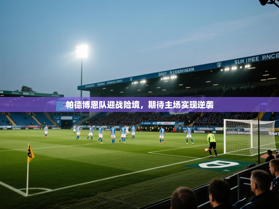 帕德博恩队迎战险境，期待主场实现逆袭  第2张